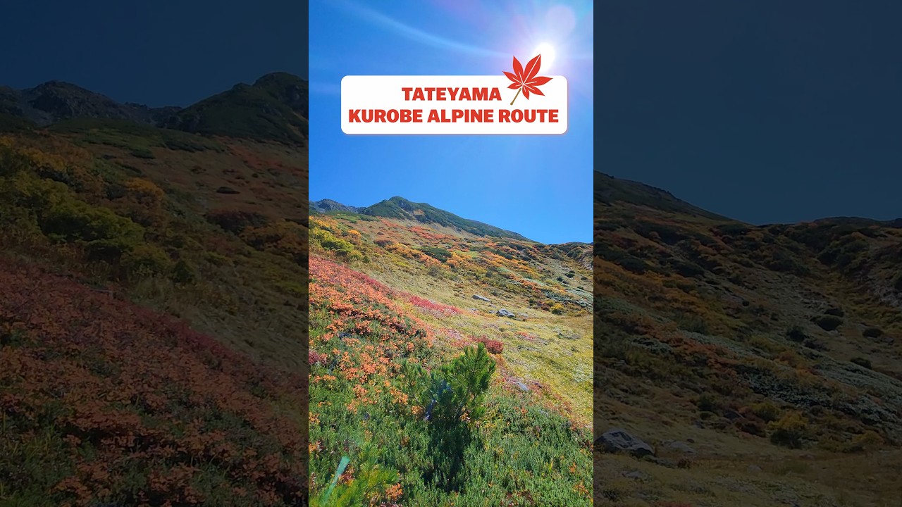 Tateyama Kurobe Alpen Route
