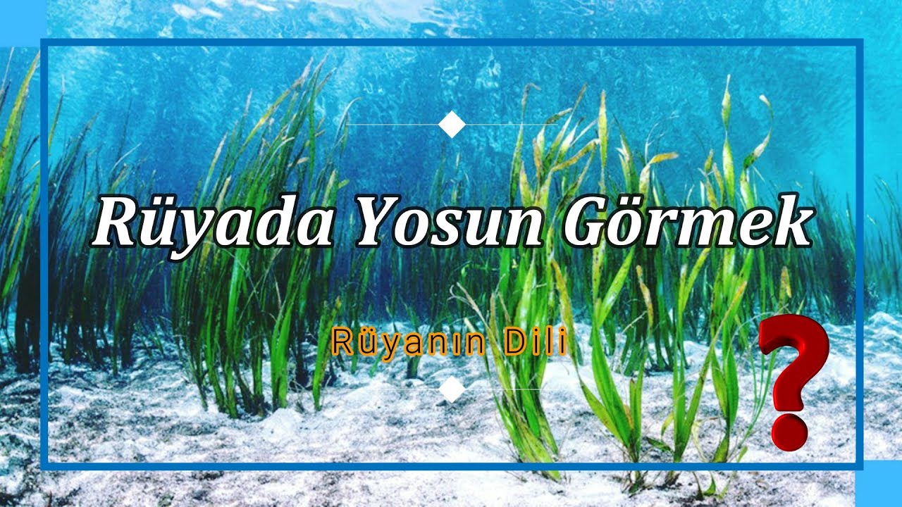 Ruyada Yosun Gormek Ruya Tabiri Youtube