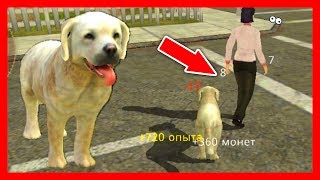 СИМУЛЯТОР СОБАКИ #2 ПЛОХАЯ СОБАКА все ломает детский летсплей играем веселое видео для детей СИМУЛЯТОР СОБАКИ #2 ПЛОХАЯ СОБАКА все ломает детский летсплей играем веселое видео для детей