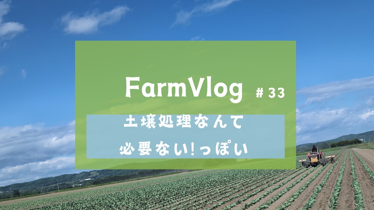 土壌処理剤なんて使いません！キャベツのカルチの様子【FarmVlog#33】