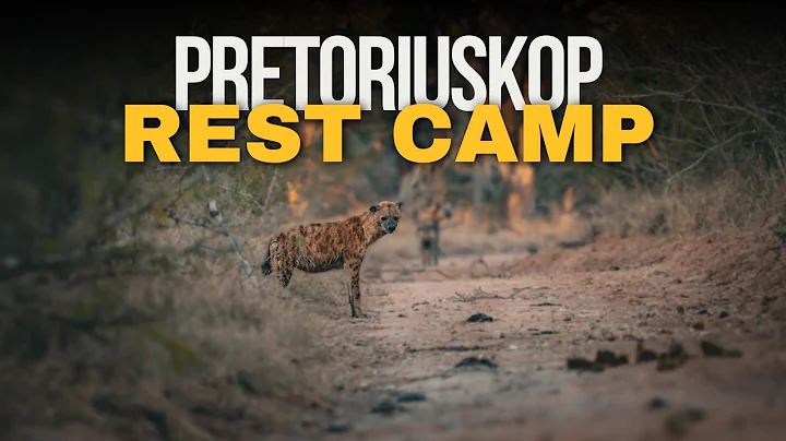 Pretoriuskop Rest Camp Kruger National Park | Full Camp Tour & Review