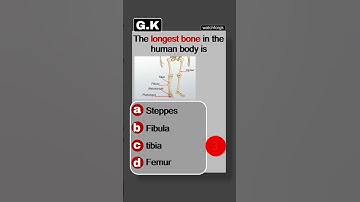 The longest bone in body isGK Question/GK In Hindi/GK Question and answer /GK Quiz