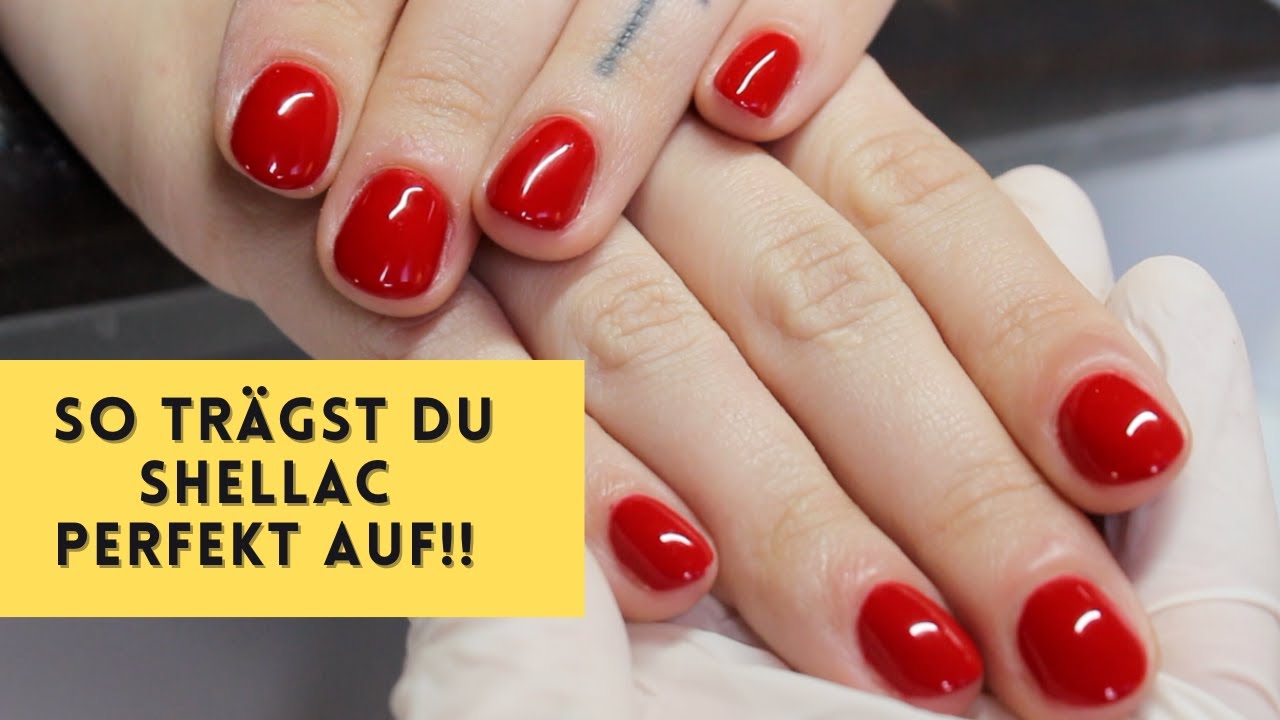 Shellac Babyoomer für Anfänger | so klappt's endlich!