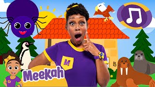 Meekahs Itsy Bitsy Spider Meekahs Nursery Rhymes Educational Videos For Kids Meekah Kids Tv