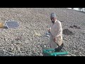 Gold mining/prospecting to earn money at indus river