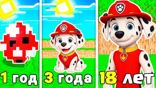 видео: СКАЙ и МАРШАЛ РОДИЛИ РЕБЁНКА ЩЕНЯЧИЙ ПАТРУЛЬ в МАЙНКРАФТ PAW PATROL МУЛЬТИК картинка: СКАЙ и МАРШАЛ РОДИЛИ РЕБЁНКА ЩЕНЯЧИЙ ПАТРУЛЬ в МАЙНКРАФТ PAW PATROL МУЛЬТИК