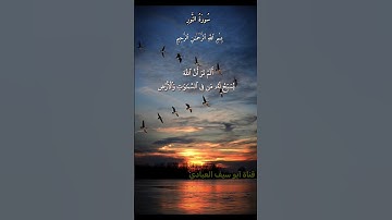 قرأن كريم راحة نفسية سورة النور عبدالباسط عبدالصمد #آيه_من_كتاب_الله #اكسبلور