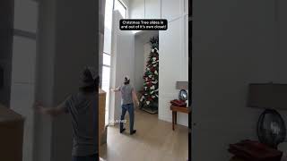 Get Yourself A Christmas Tree Closet