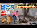 BUGUN MANI GALIM 60-SON ABROR BAHTIYAROVICH TOVUQNI NIMA UCHUN TUTA OLMADI? 😂🐔😂