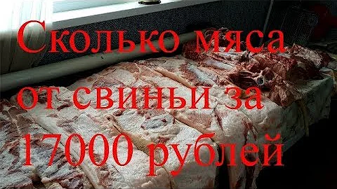 Сколько мяса от свиньи за год?Зарезали кабана 