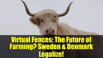 Virtual Fences: The Future of Farming? Sweden & Denmark Legalize!
