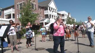 Kenosha Symphony HarborMarket Flash mob