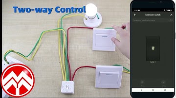 [Tuya or Smart Life App] Wifi Smart 2 Way Control Switch / Breaker / Driver / Relay 10A Smart Home