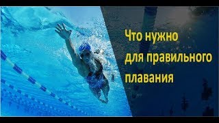 Обучение плаванию в Бишкеке! Что нужно для правильного плавания. ФТКР Обучение плаванию в Бишкеке! Что нужно для правильного плавания. ФТКР