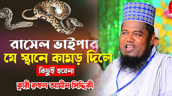 রাসেল ভাইপার যেস্থানে কামড় দিলে কিছুই হবে না ! ক্বারী রুহুল আমিন সিদ্দিকী
