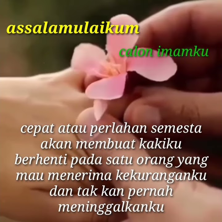 status wa || Assalamulaikum calon imamku
