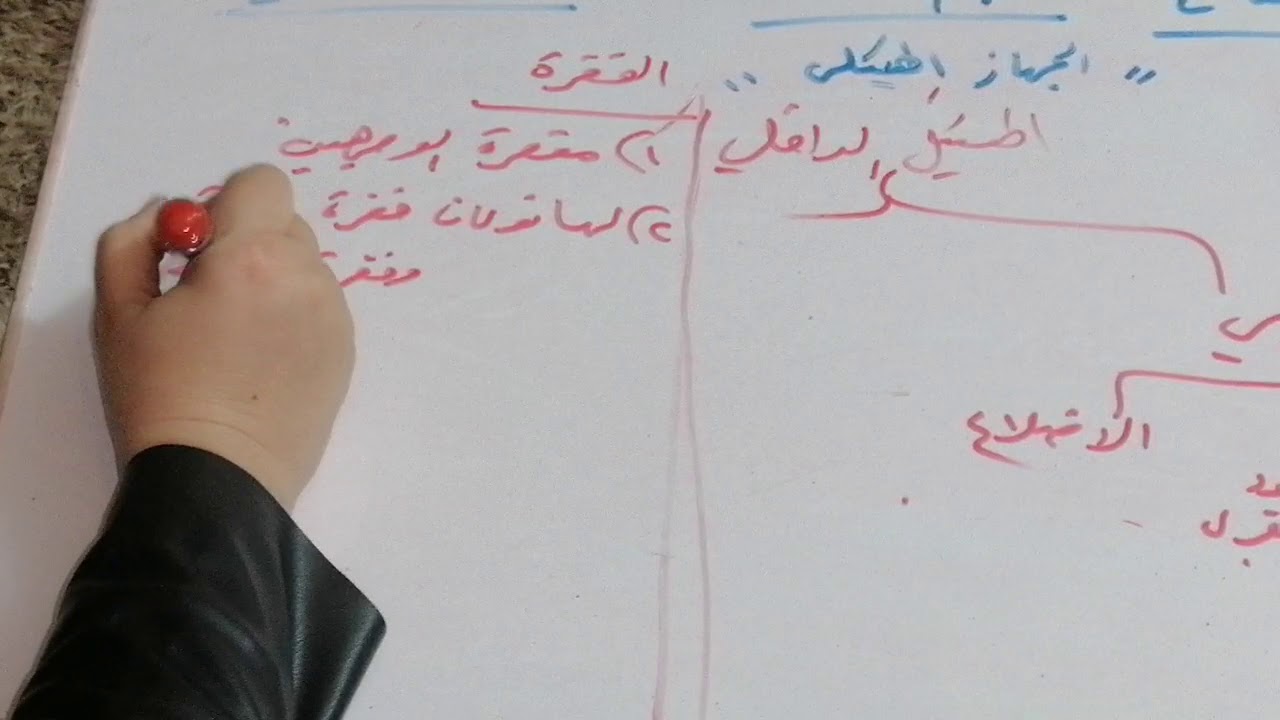 الجهاز الهيكلي للاسماك العظمية.الرابع العلمي