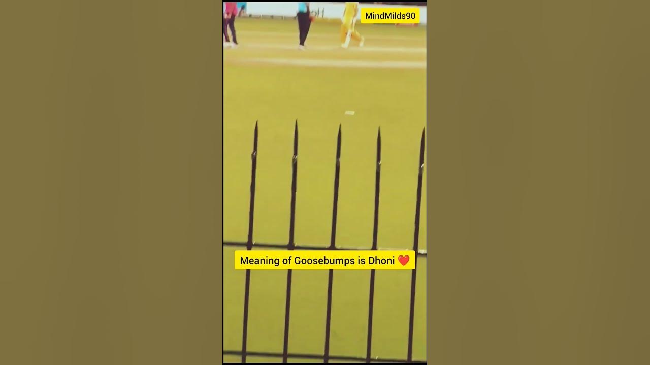 meaning-of-goosebumps-is-dhoni-msdhoni-thala-viral-shortsvideo-csk