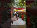DJI Osmo Action 5 Pro Colorgrading on High Contrast Lowlight #dji #djiosmo #actioncamera
