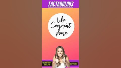 कंप्यूटर माउस को कहते थे 