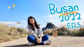 Busan EP.5 ♡ KTX Seoul - Busan, Oryukdo skywalk, Oryukdo Sunrise park ♡ VLOG | NiraNottt