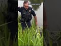 Newport police rescue dog stuck in brush