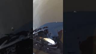 Finnish River Pike With A Cool Backfishing