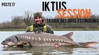 La traque des gros esturgeons // Iktus sturgeon // poste 17 [4K]