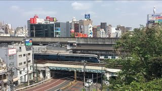 【さふぃーる おどりこ】E261系 特急 サフィール踊り子（回送）@京浜東北線 王子駅