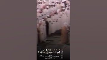 عندما أبدع القارئ الشيخ علي جابر 🤍🦋. اللهم صل وسلم على نبينا محمد. #قرآن كريم بصوت هادئ وجميل راحه