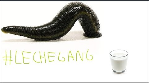 LECHE GANG TEAMTAGE // RUSTY MOOSE MAIN // RUST PVP