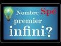 Les nombres premiers sont-ils infinis? la preuve • arithmétique • spé maths terminale S expert