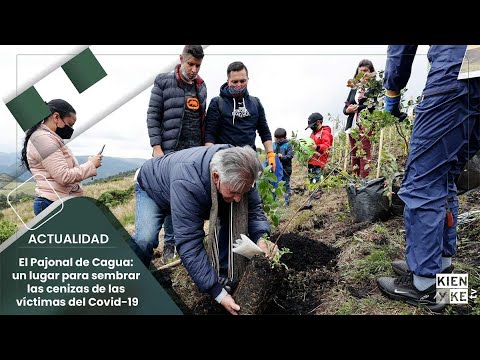 Víctimas del Covid-19: siembran sus cenizas y varios árboles en  conmemoración - YouTube