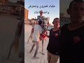  اكسبلور  علياء قمرون اثناء ركوبهاالخيل وتحرش واضح