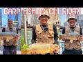 Catching Big Carp in the Chicago River!