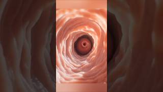 “The Power of Vagina 🔥”#healthawareness #humanbody #medicaleducation
