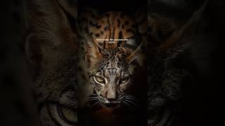 Never underestimate someone's strength. #lifelessons #motivation