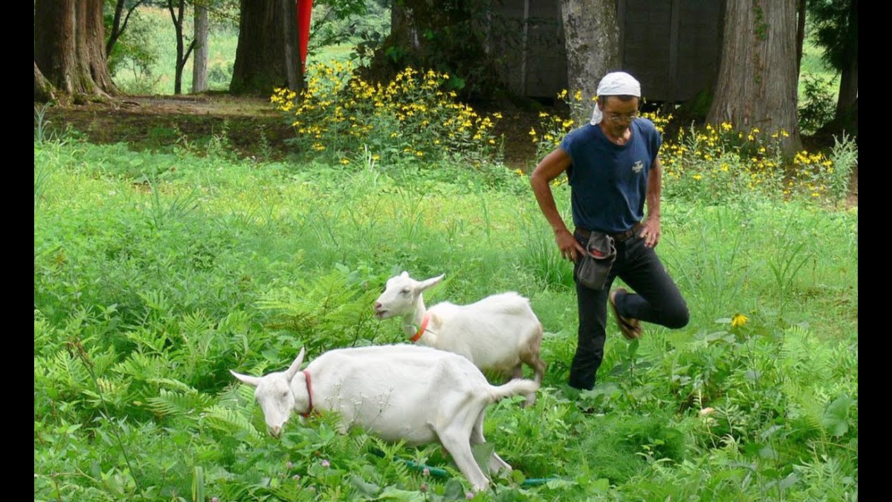 風の波紋 ドキュメンタリー映画 アジアンドキュメンタリーズ