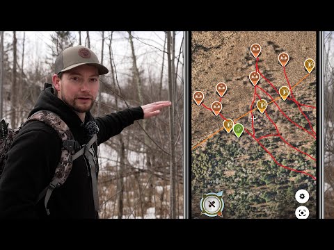 Scouting Tips for Deer Hunting | Big Woods