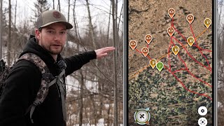 Scouting Tips for Deer Hunting | Big Woods