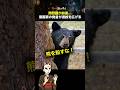 「熊を殺すな」議論に漫画家が反論…世論が揺れる理由 #動物 #炎上