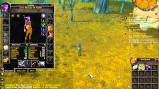 World of Warcraft - Dynamic Items