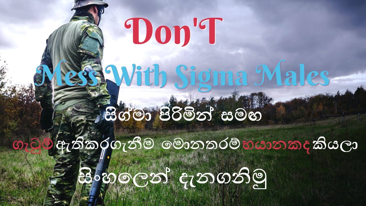 Don't Mess With Sigma males (සිග්මා පිරිමින් සමඟ ගැටුම් ඇතිකරගැනීම මොනතරම් භයානකද කියලා දැනගනිමු)