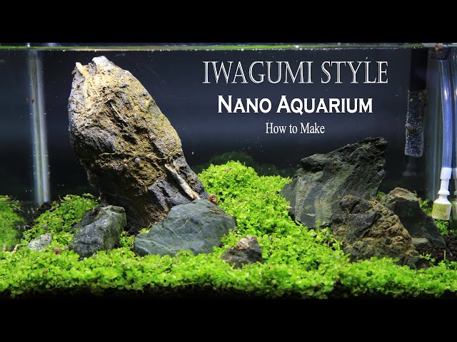 Great Iwagumi layout, the black - Aquarium Gardens