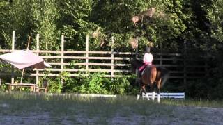 JanLamontagneAndRisingStar.wmv