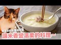 征服短褲跟米香的貓咪蛋料理！海洋貓蒸蛋～【貓副食食譜】好味貓鮮食食譜EP165