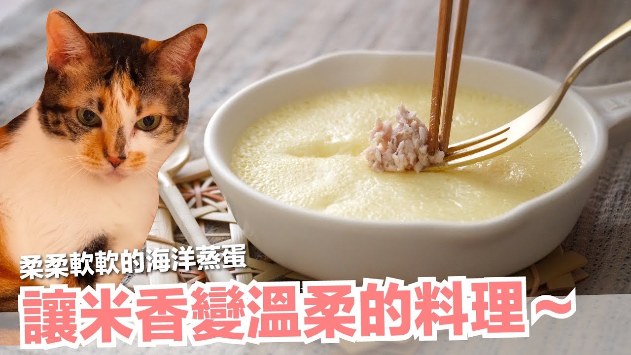 征服短褲跟米香的貓咪蛋料理！海洋貓蒸蛋～【貓副食食譜】好味貓鮮食食譜EP165