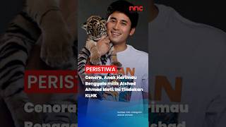 Cenora, anak harimau milik Alshad Ahmad mati, KLHK akan selidiki. #alshadahmad #anakharimau #shorts