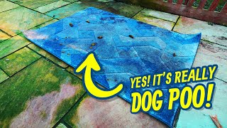 Not Your Usual Dog Toilet. Better Clean This Up! Satisfying ASMR Timelapse.