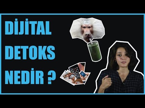 Video: Dijital Detoks Nedir